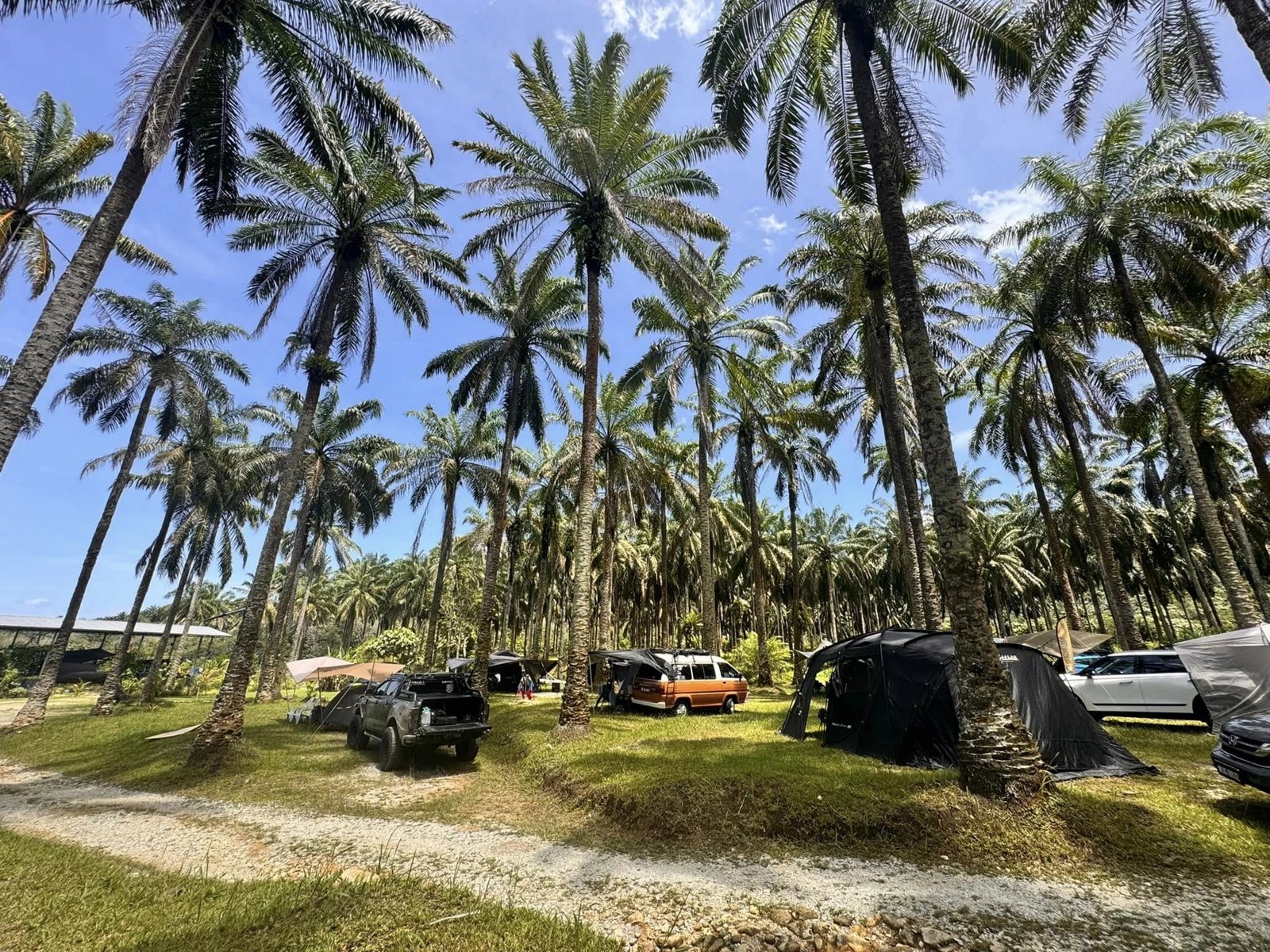 AACM gathering 24 — 2K Hotspring Campsite